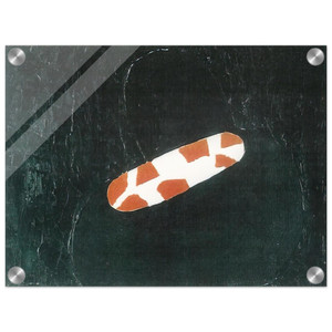 Forrest Bess  The Hermaphrodite  1957 Acrylic Print