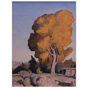 Maynard Dixon  LOW COUNTRY COTTONWOOD 1940 Wood Print