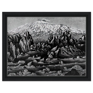 MC Escher  ESCHER 15 Framed Canvas