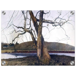 Andrew Wyeth  DIL HUEY FARM Acrylic Print