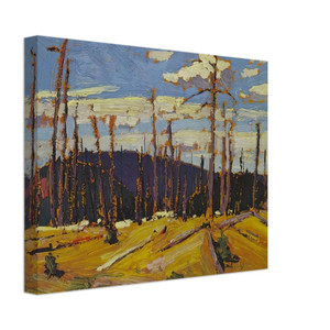 Tom Thomson  BURNT OVER FOREST 1916 Canvas