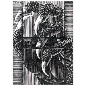 MC Escher  ESCHER 13 Fine Art Poster / Art Print
