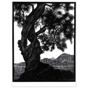 MC Escher  OLD OLIVE TREE CORSICA Aluminum Print