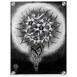 MC Escher  PRICKLY FLOWER Acrylic Print
