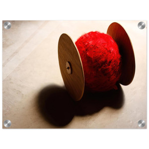 Lygia Pape  Wheels with ball  2001 Acrylic Print