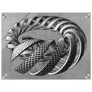 MC Escher  SPIRALS Acrylic Print