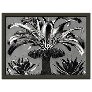 MC Escher  PALM Premium Metal Framed Art Print / Poster