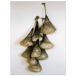 Eva Hesse  UNTITLED OR NOT YET 1966 Aluminum Print