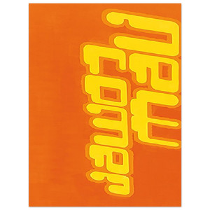 Michel Majerus  New Comer  2000 Aluminum Print