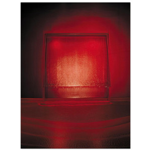 Lygia Pape  Carandiru  2002 Wood Print