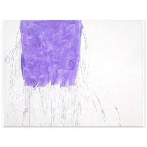 Michel Majerus  Violet  1997 Aluminum Print