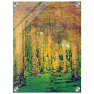 Arkhyp Kuindzhi  A Birch Grove Spots of sunlight Acrylic Print