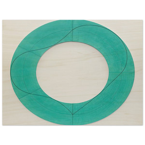 Robert Mangold  RING IMAGE C 2008 Wood Print