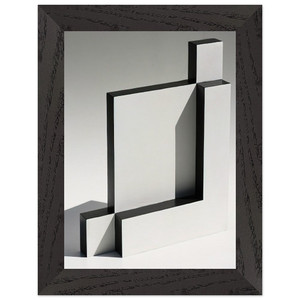 Lygia Pape White and Black Sculpture 1965 Framed Art Print / Poster