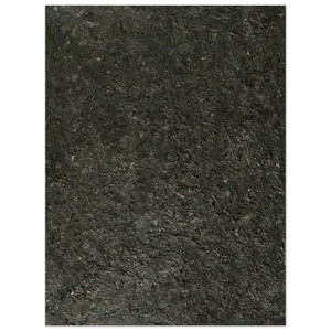 Milton Resnick  DARK FOREST 1975 Wood Print