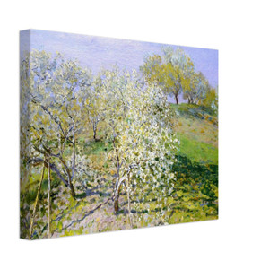 claude monet  Apple Trees in Bloom Canvas