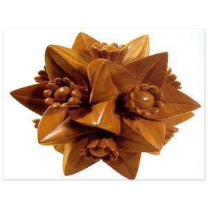 MC Escher  POLYHEDRON WITH FLOWERS Aluminum Print