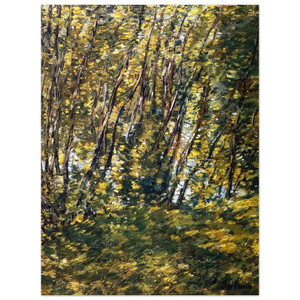 Childe Hassam  Nude in Sunlilt Wood Aluminum Print