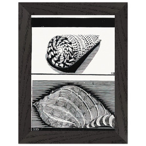 MC Escher  SEA SHELLS Premium Wooden Framed Art Print / Poster