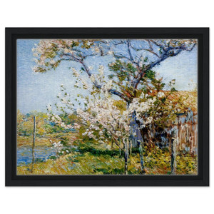 Childe Hassam  Apple Trees in Bloom Old Lyme Framed Canvas