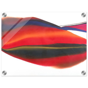 Paul Jenkins  Phenomena Lands End  1974 Acrylic Print