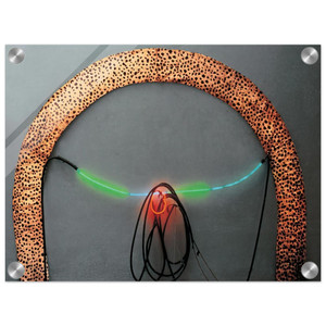 Lygia Pape  Eye of Guara  1984 Acrylic Print