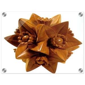MC Escher  POLYHEDRON WITH FLOWERS Acrylic Print