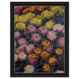 claude monet  Bed of Chrysanthemums Framed Canvas