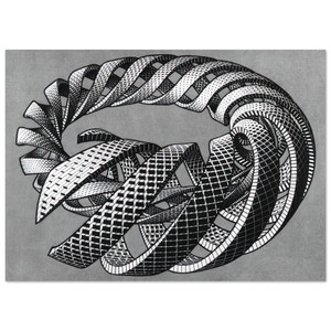 MC Escher  SPIRALS Fine Art Poster / Art Print