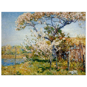 Childe Hassam  Apple Trees in Bloom Old Lyme Wood Print
