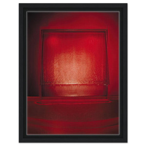 Lygia Pape  Carandiru  2002 Framed Canvas