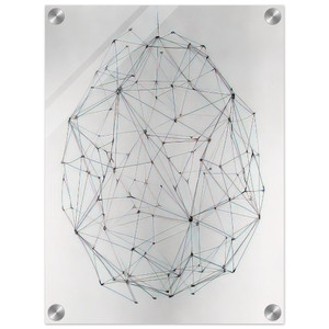 Gego  Esfera N 5  1977 Acrylic Print