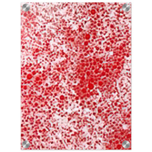 Yayoi Kusama  BEYOND THE END OF THE CENTURY 1987 Acrylic Print