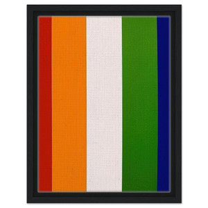 Ellsworth Kelly  Red Orange White Green Blue Framed Canvas