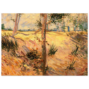 Vincent van Gogh  Trees in a Field on a Sunny Day Fine Art Poster / Art Print