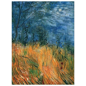 Vincent van Gogh  Edge of a Wheatfield with Poppies Aluminum Print