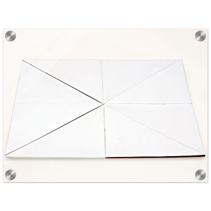 Lygia Pape  Book of Creation Fire  1960 Acrylic Print