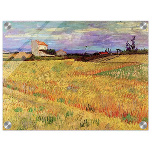 Vincent van Gogh  Wheat Field Acrylic Print