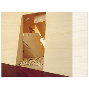 Lygia Pape  New House  2000 Wood Print