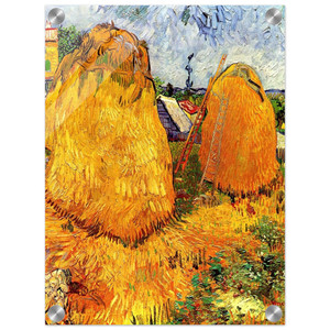 Vincent van Gogh  Haystacks in Provence Acrylic Print