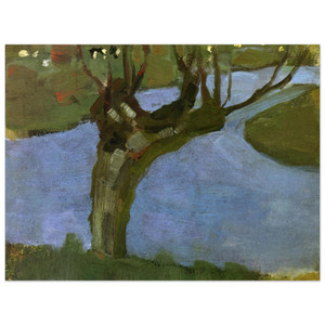 Piet Mondrian  Irrigation Ditch with Mature Willow Aluminum Print