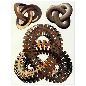 MC Escher  KNOTS COLOUR Aluminum Print