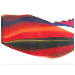 Paul Jenkins  Phenomena Lands End Aluminum Print