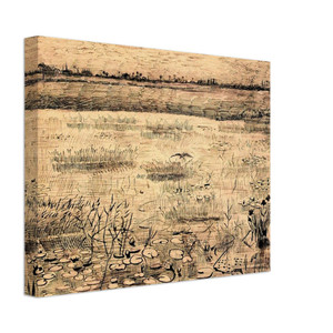 Vincent van Gogh  Marsh with Water Lillies Canvas