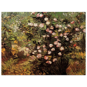 Vincent van Gogh  Rosebush in Blossom Wood Print