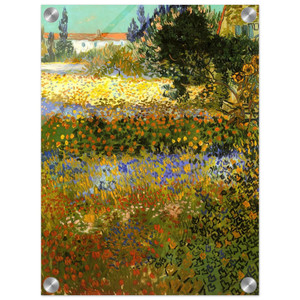 Vincent van Gogh  Flowering Garden Acrylic Print