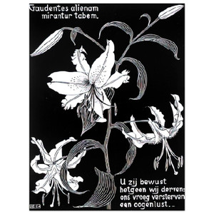 MC Escher  Flowers N2 Aluminum Print