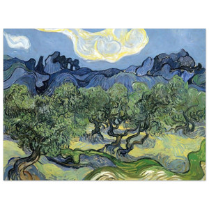 Vincent van Gogh  The Alpilles with Olive Trees in the Foreground Aluminum Print