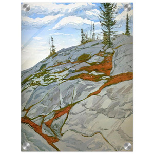 Neil Welliver  Blueberries in Fissures  1983 Acrylic Print