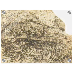 Vincent van Gogh  Olive Trees in a Mountain Landscape Acrylic Print